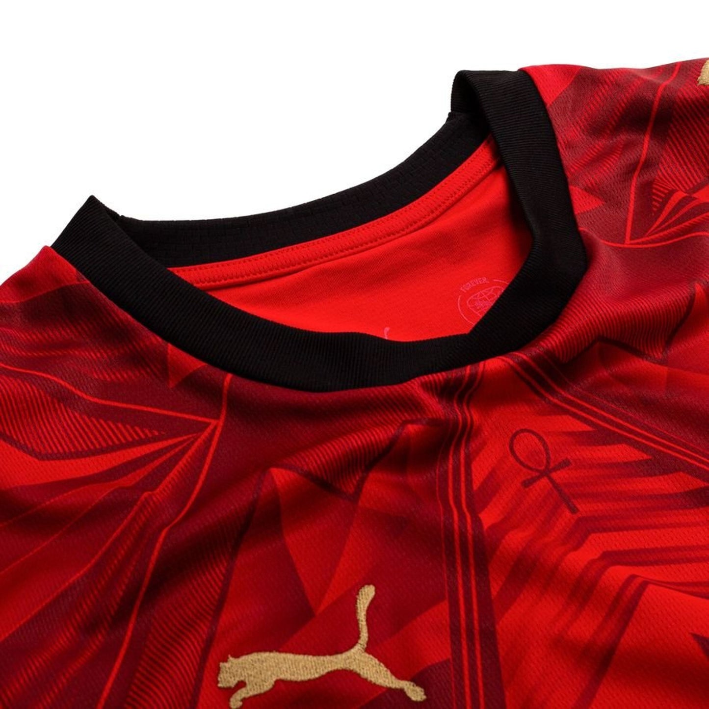 Égypte Maillot Domicile Coupe du Monde 2026