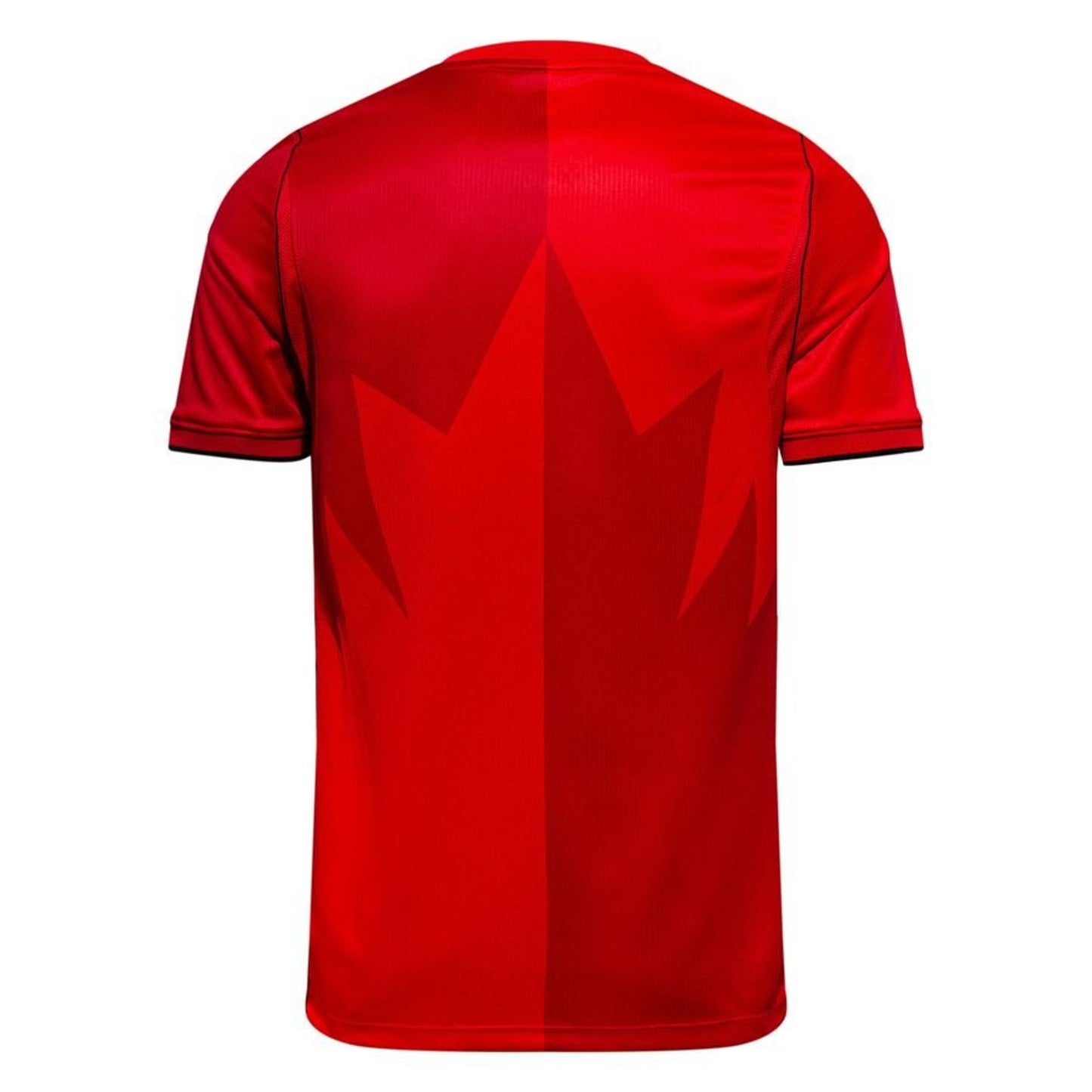 Canada Maillot Domicile Coupe du Monde 2026