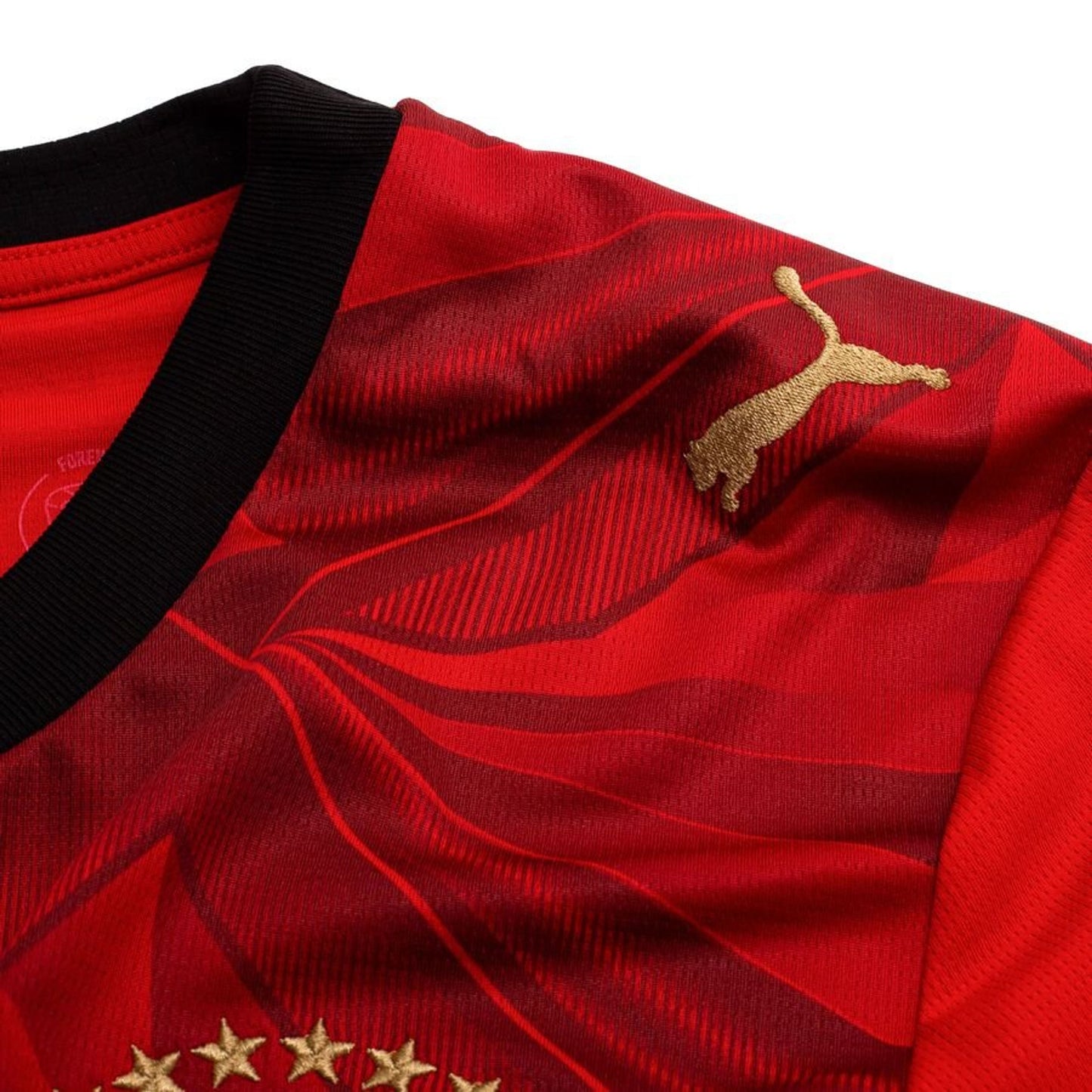 Égypte Maillot Domicile Coupe du Monde 2026